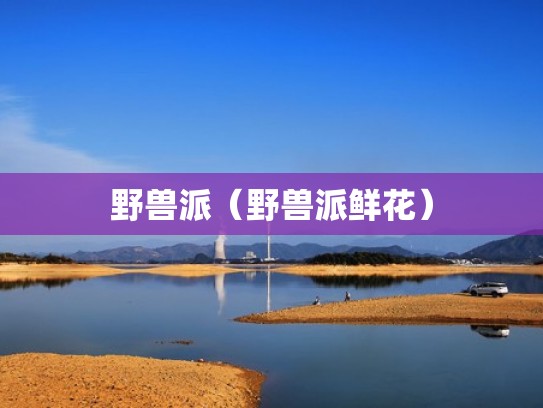 野兽派（野兽派鲜花）