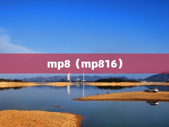 mp8（mp816）
