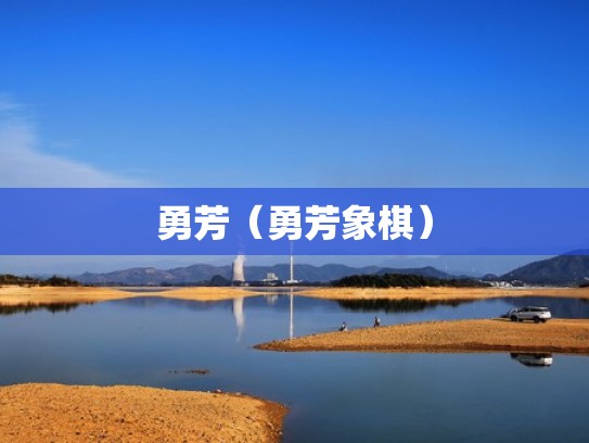 勇芳（勇芳象棋）