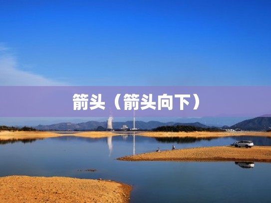 箭头(箭头向下) 箭头(箭头向下)