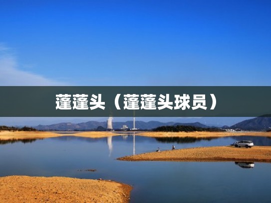 蓬蓬头（蓬蓬头球员）