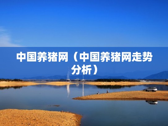 中国养猪网（中国养猪网走势分析）