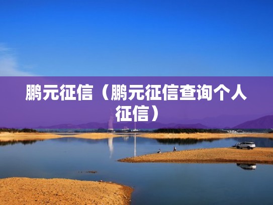 鹏元征信(鹏元征信查询个人征信) 鹏元征信(鹏元征信查询个人征信)