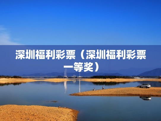 深圳福利彩票（深圳福利彩票一等奖）