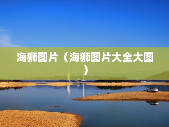 海狮图片（海狮图片大全大图）