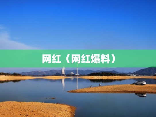 网红（网红爆料）