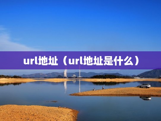 url地址（url地址是什么）
