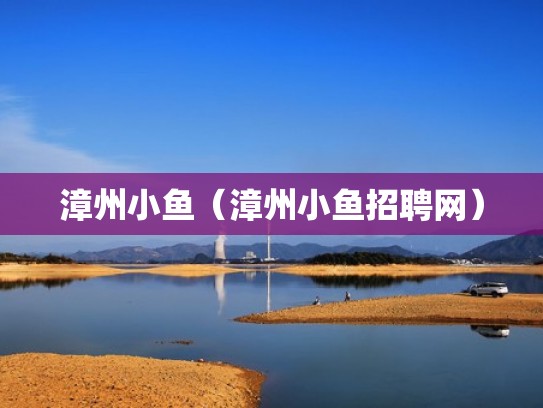 漳州小鱼（漳州小鱼招聘网）