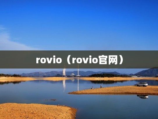 rovio（rovio官网）