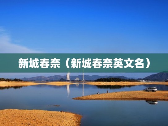 新城春奈（新城春奈英文名）