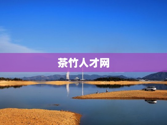 茶竹人才网