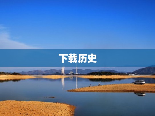 下载历史