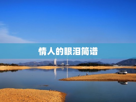 情人的眼泪简谱