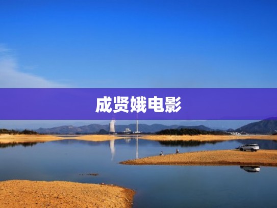 成贤娥电影