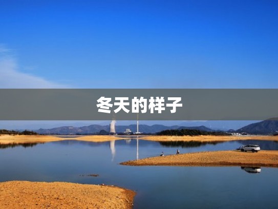 冬天的样子