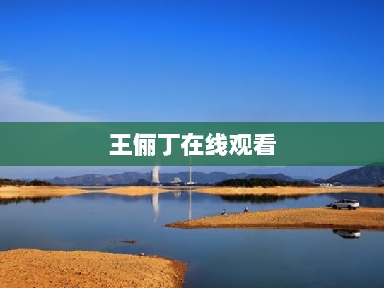 王俪丁在线观看