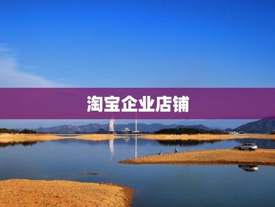 淘宝企业店铺