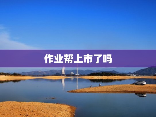 作业帮上市了吗