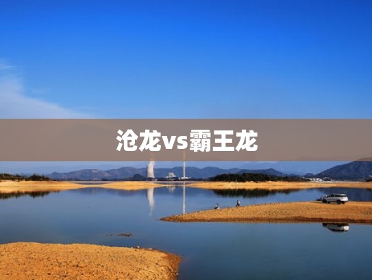 沧龙vs霸王龙