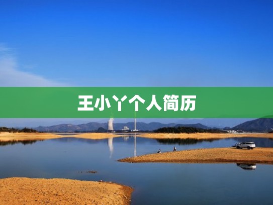 王小丫个人简历