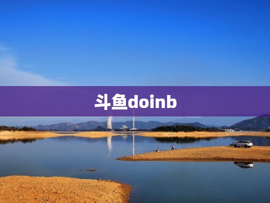斗鱼doinb
