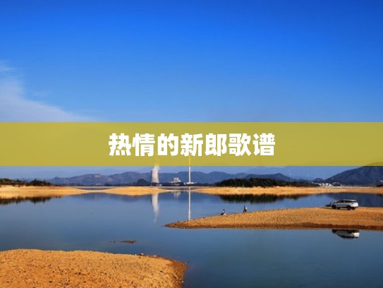 热情的新郎歌谱