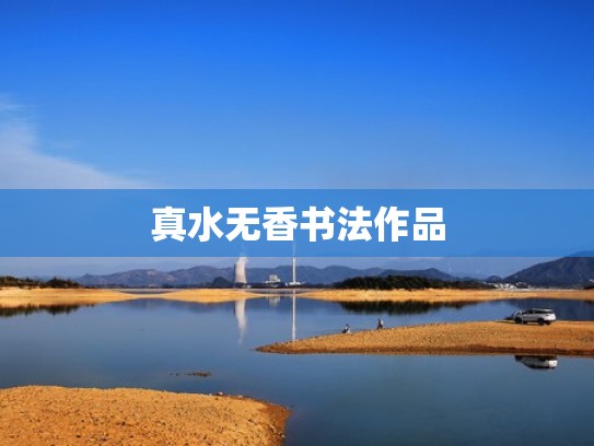 真水无香书法作品