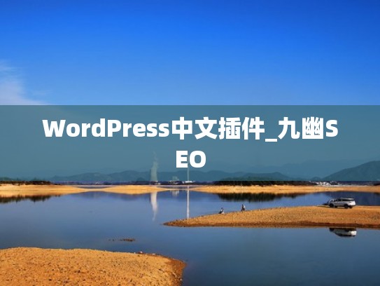 WordPress中文插件_九幽SEO