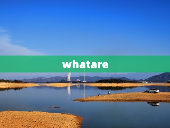 whatare