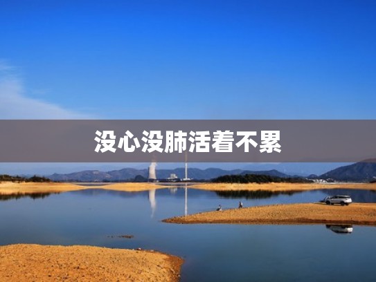 没心没肺活着不累
