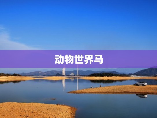动物世界马