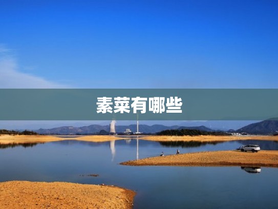 素菜有哪些