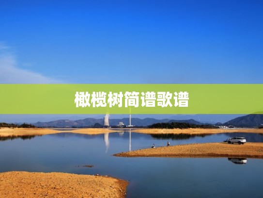 橄榄树简谱歌谱