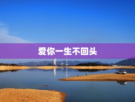 爱你一生不回头