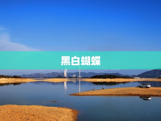 黑白蝴蝶