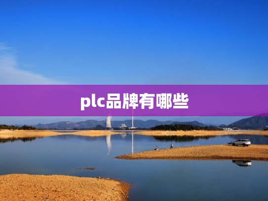 plc品牌有哪些