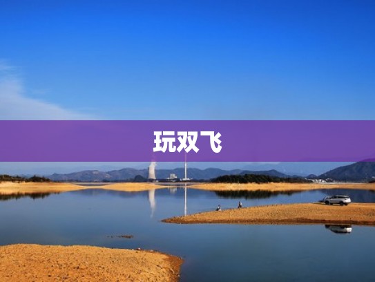 玩双飞