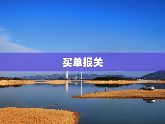 买单报关