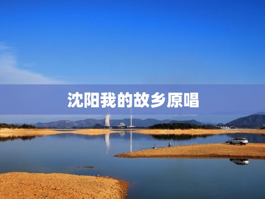 沈阳我的故乡原唱