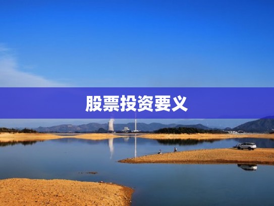 股票投资要义