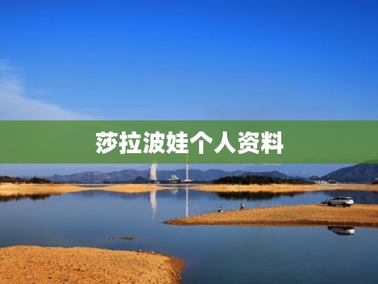 莎拉波娃个人资料