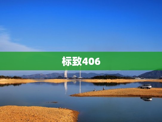 标致406
