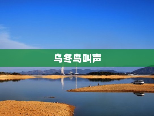 乌冬鸟叫声