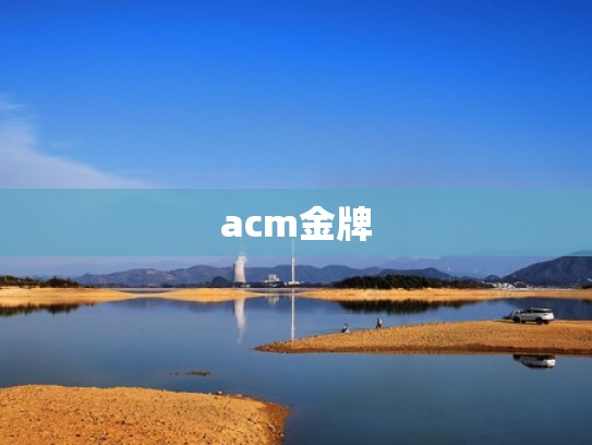 acm金牌