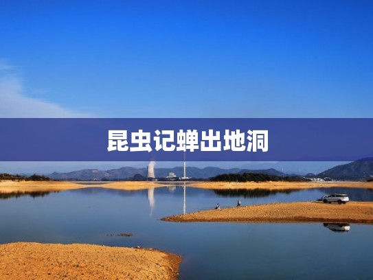 昆虫记蝉出地洞