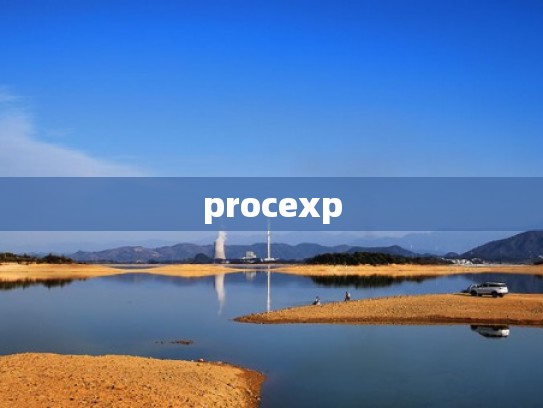 procexp