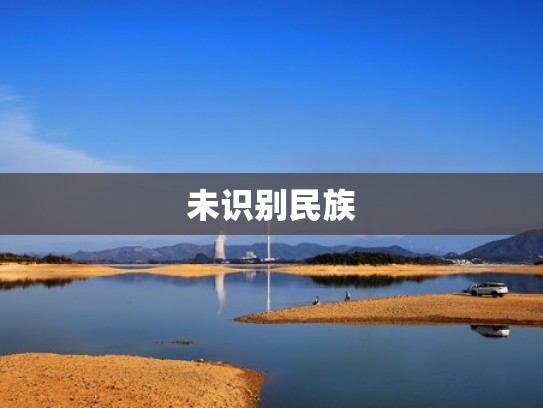 未识别民族