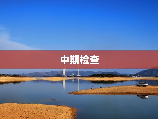 中期检查