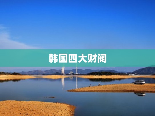 韩国四大财阀