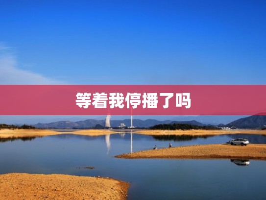 等着我停播了吗